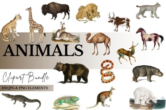 Animal Clipart Bundle: 100 Versatile Files